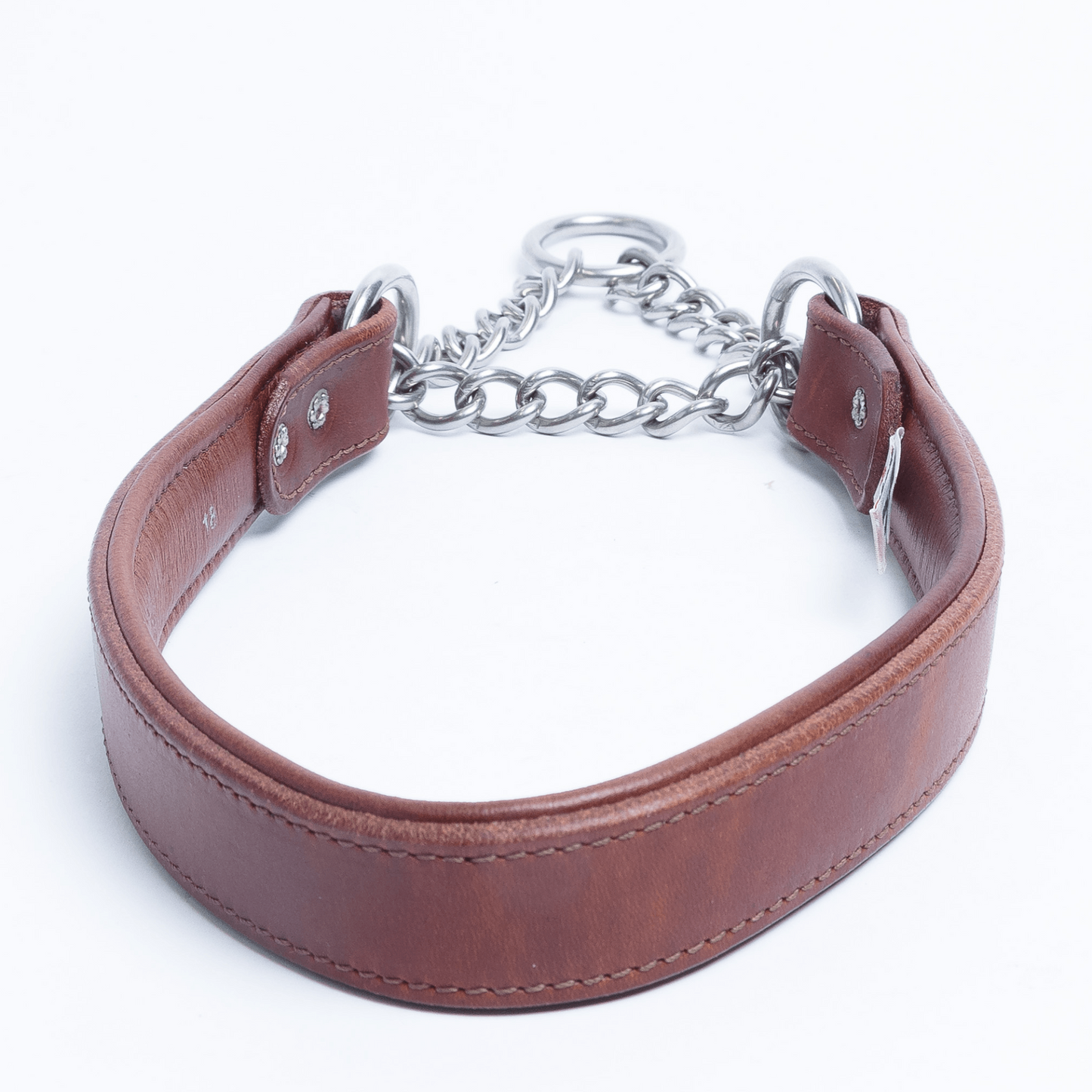 Rio Martingale Collar