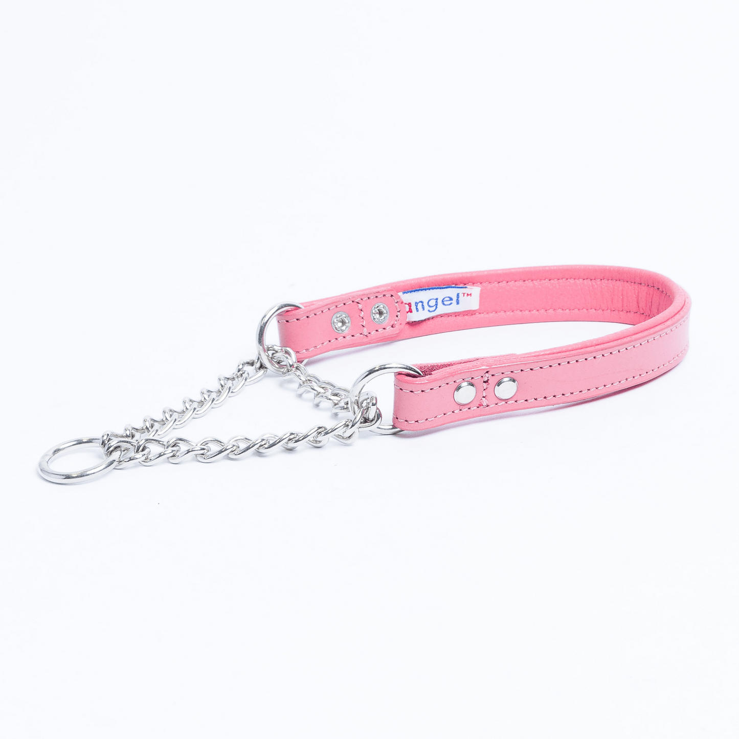 Rio Martingale Collar