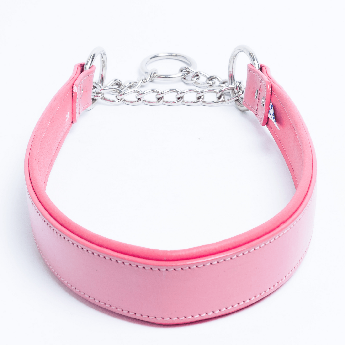 Rio Martingale Collar