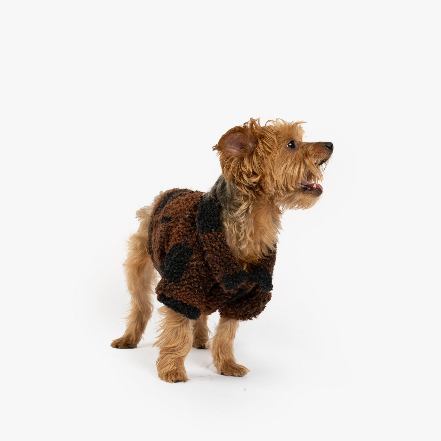 Humpfrey Dog Jacket