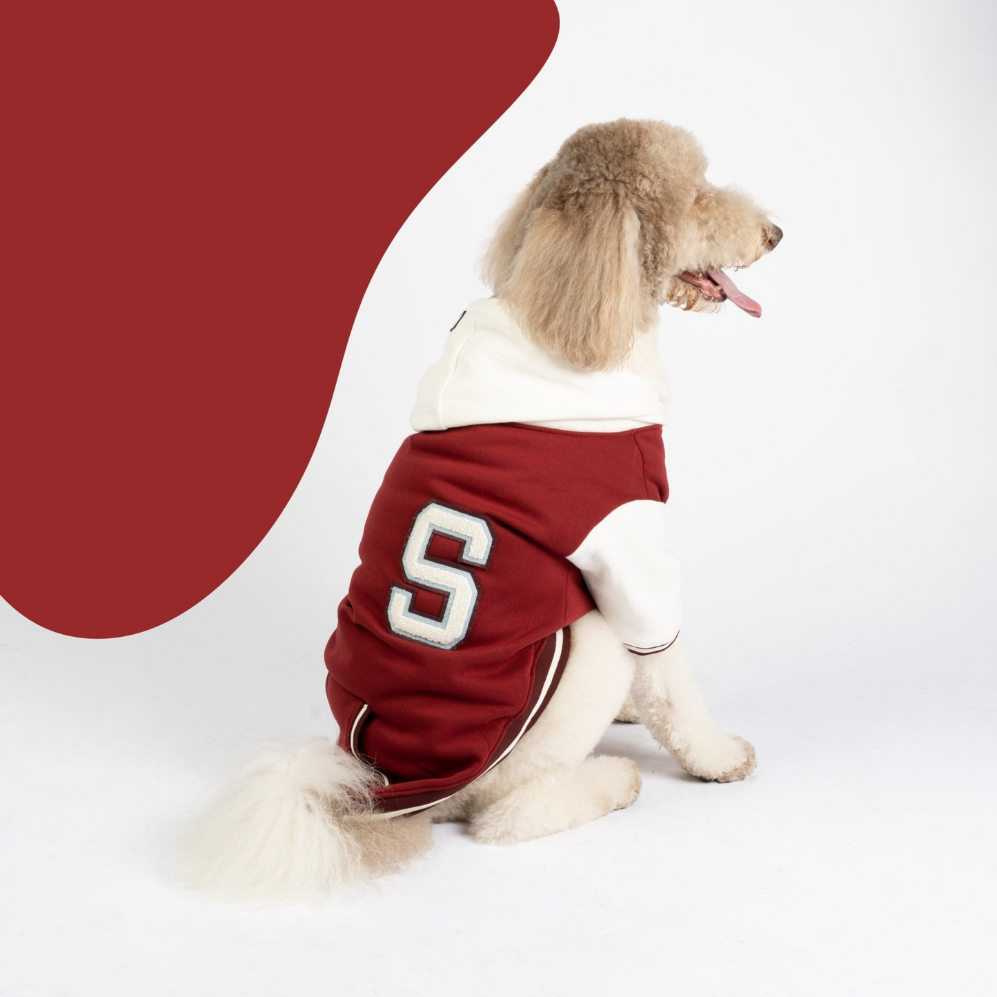 Veste Letterman pour chien Otis