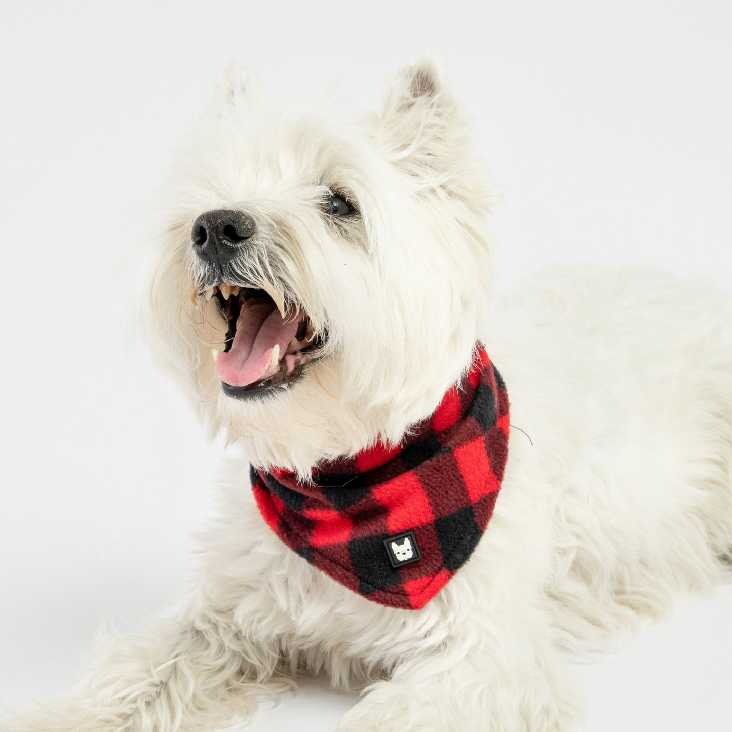 Plaid Dog Bandana - Red