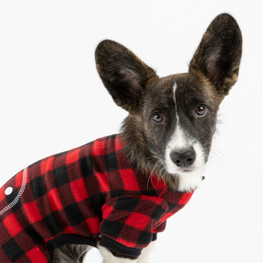 Matching Human Pajama - Plaid Green