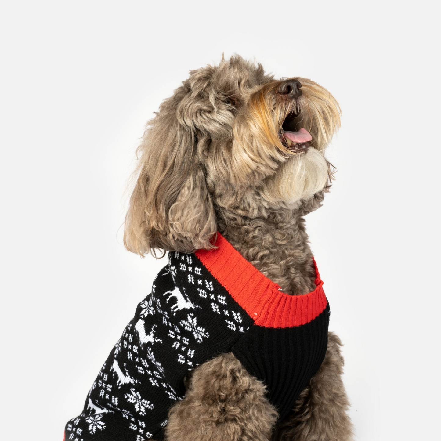 Reindeer Dog Sweater