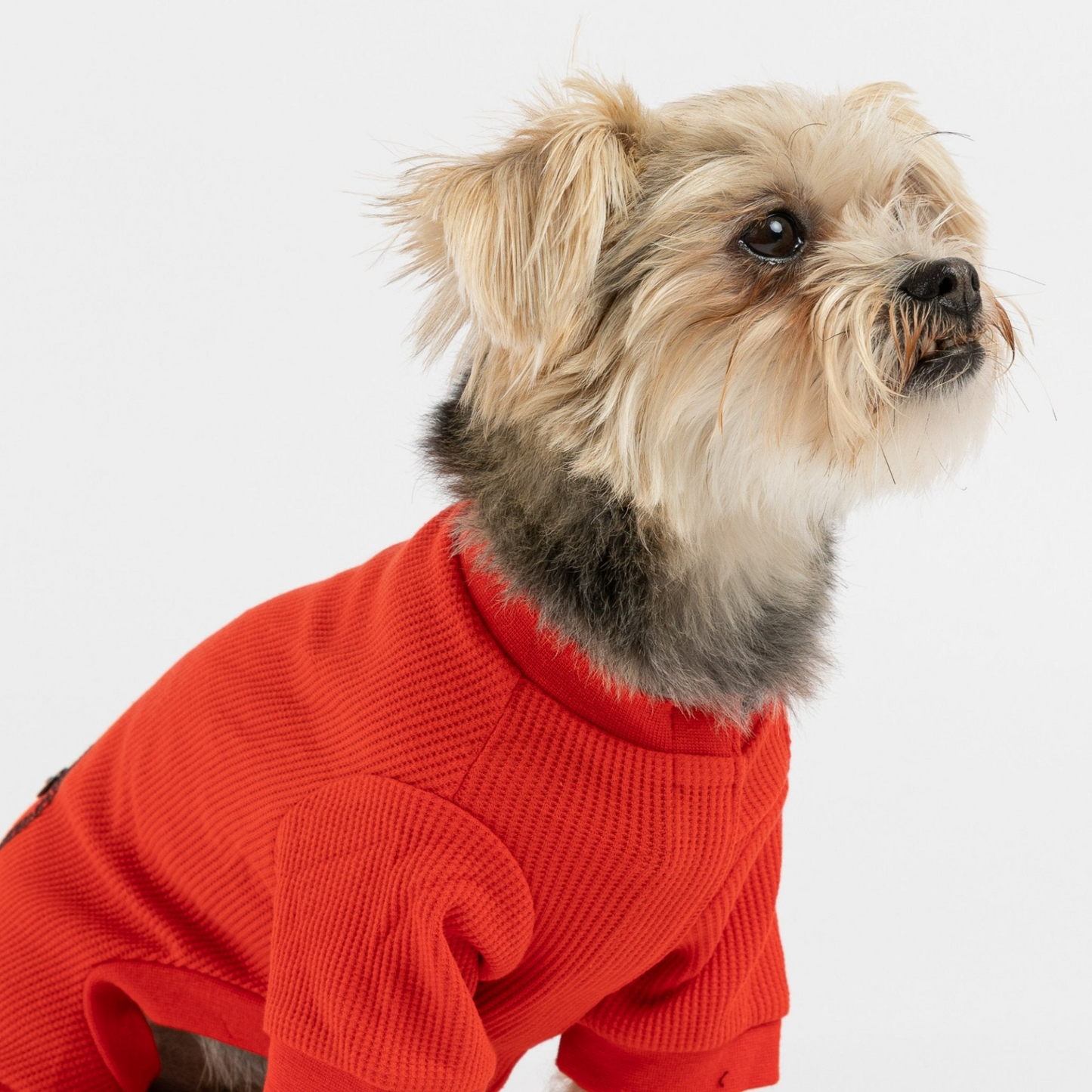 Thermal Dog Pajama - Red