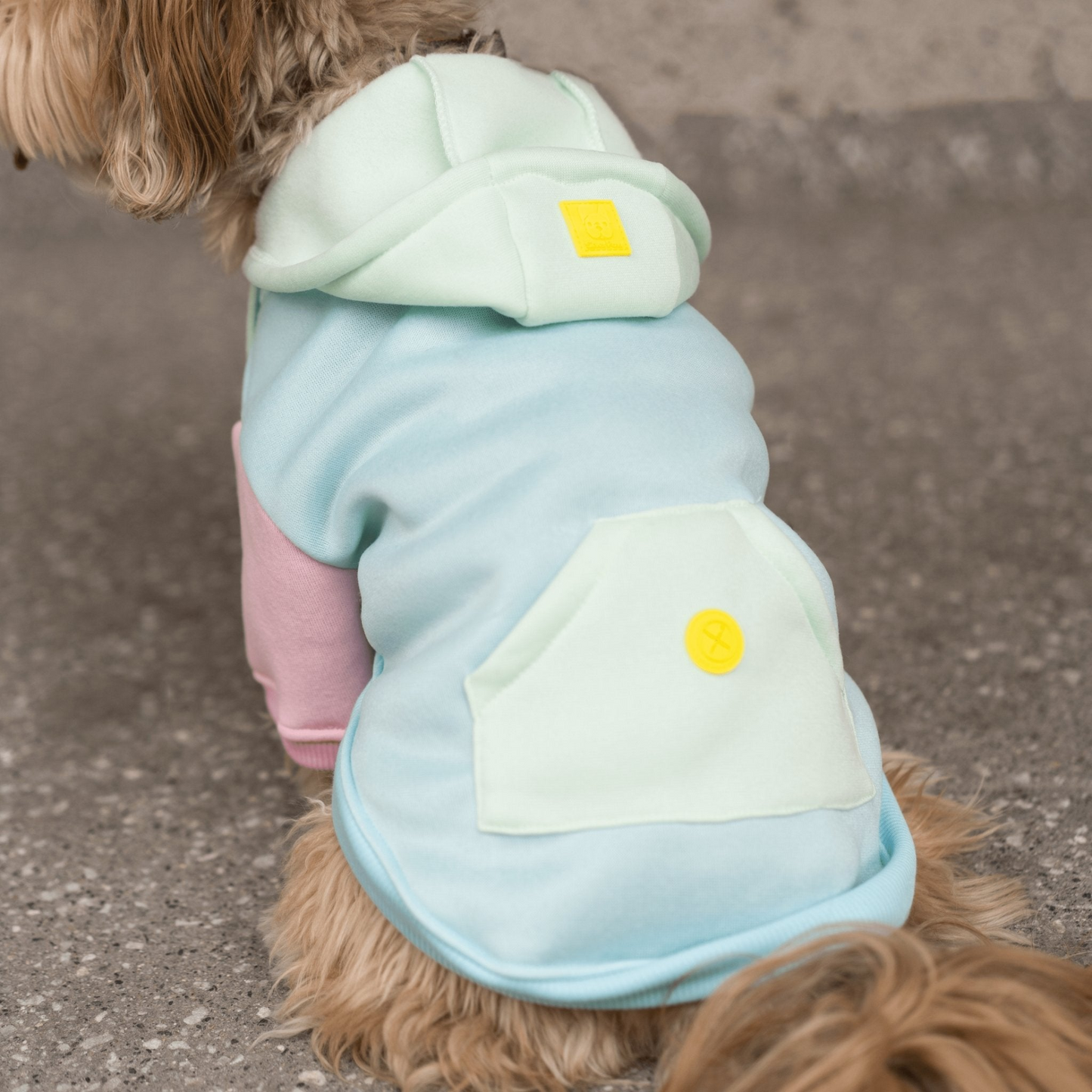 Venice Dog Hoodie - Blue