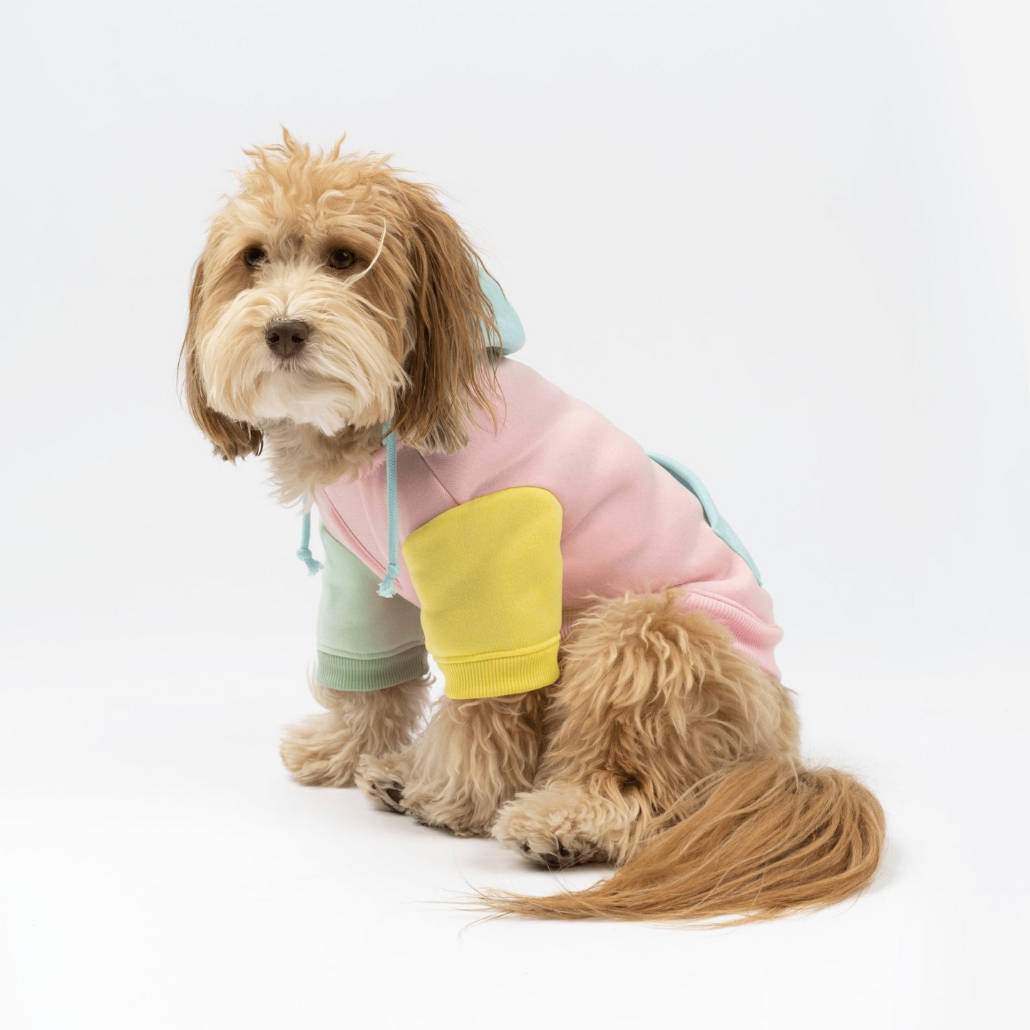 Venice Dog Hoodie - Pink