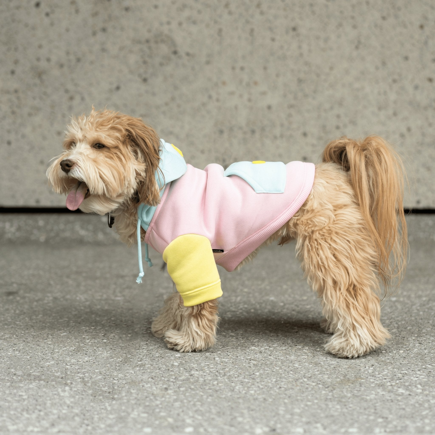 Venice Dog Hoodie - Pink