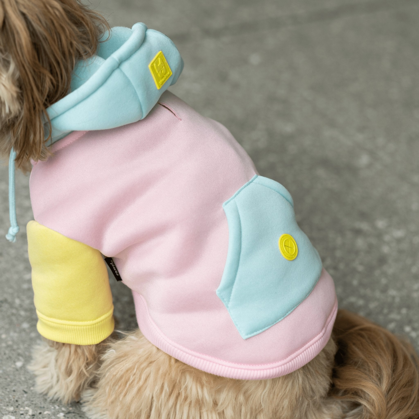 Venice Dog Hoodie - Pink