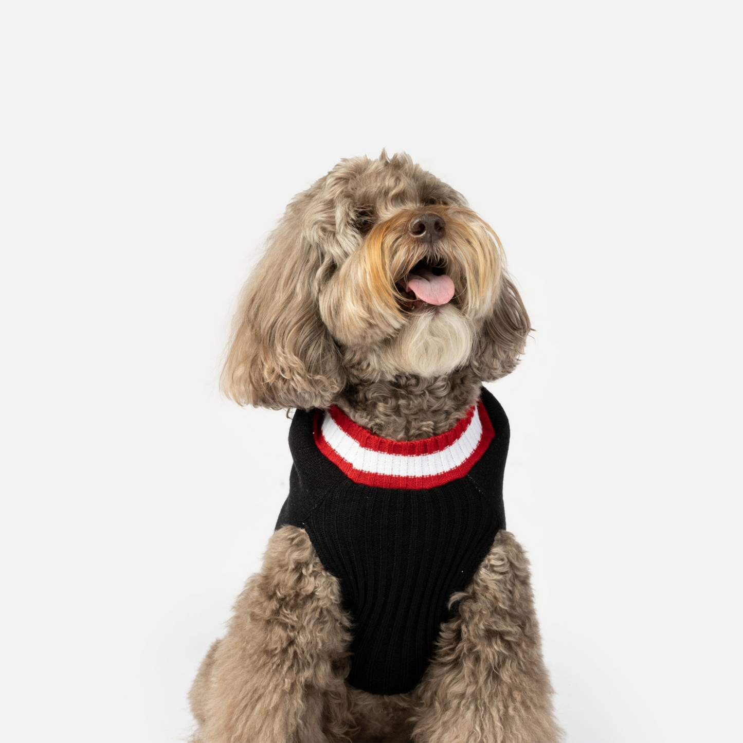 Wreath Dog Sweater