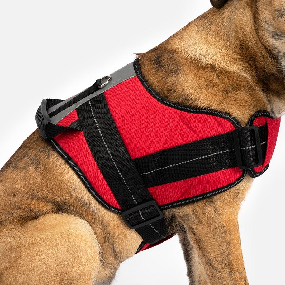 Heavy Duty Harness Red