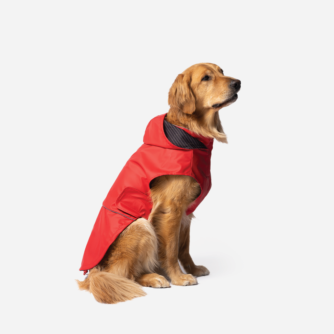 Aden 2.0 Dog Raincoat Red