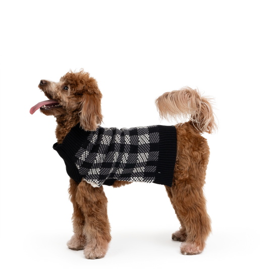 Theo Dog Sweater – Sherpa-Lined Plaid Design