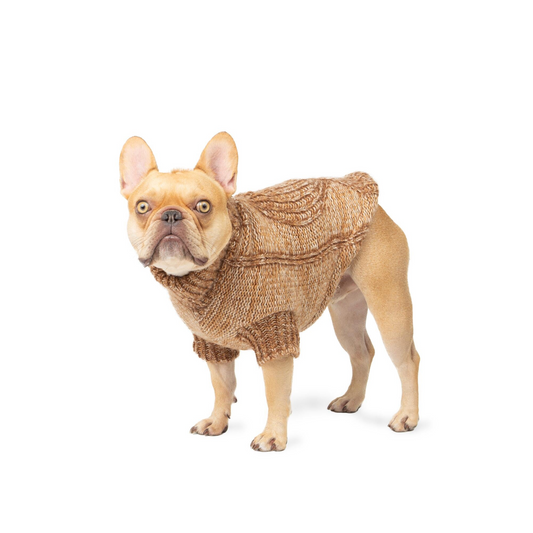 Hazel Dog Sweater, Sherpa-Lined Cable Knit